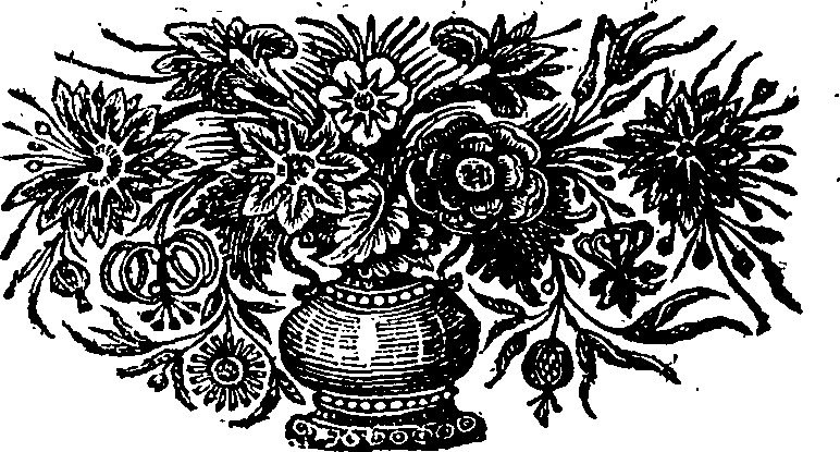 078/078410060000810_0.png