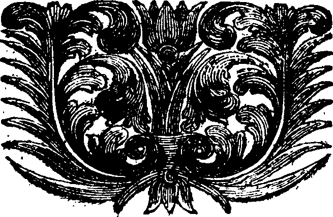 078/078430020003210_0.png