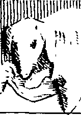 078/078540050101290_1.png