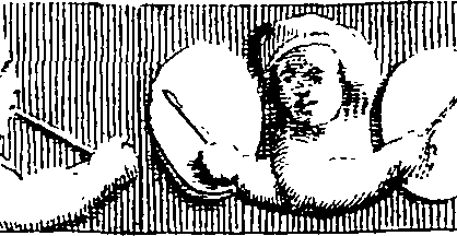 078/078540050101290_3.png