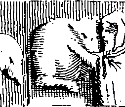 078/078540050101290_6.png