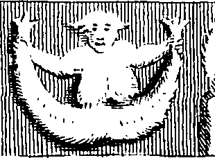 078/078540050101290_8.png