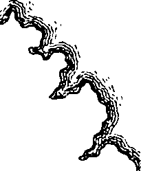 078/078560010700050_1.png