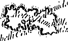 078/078560010700060_0.png