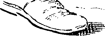 078/078560010800070_0.png