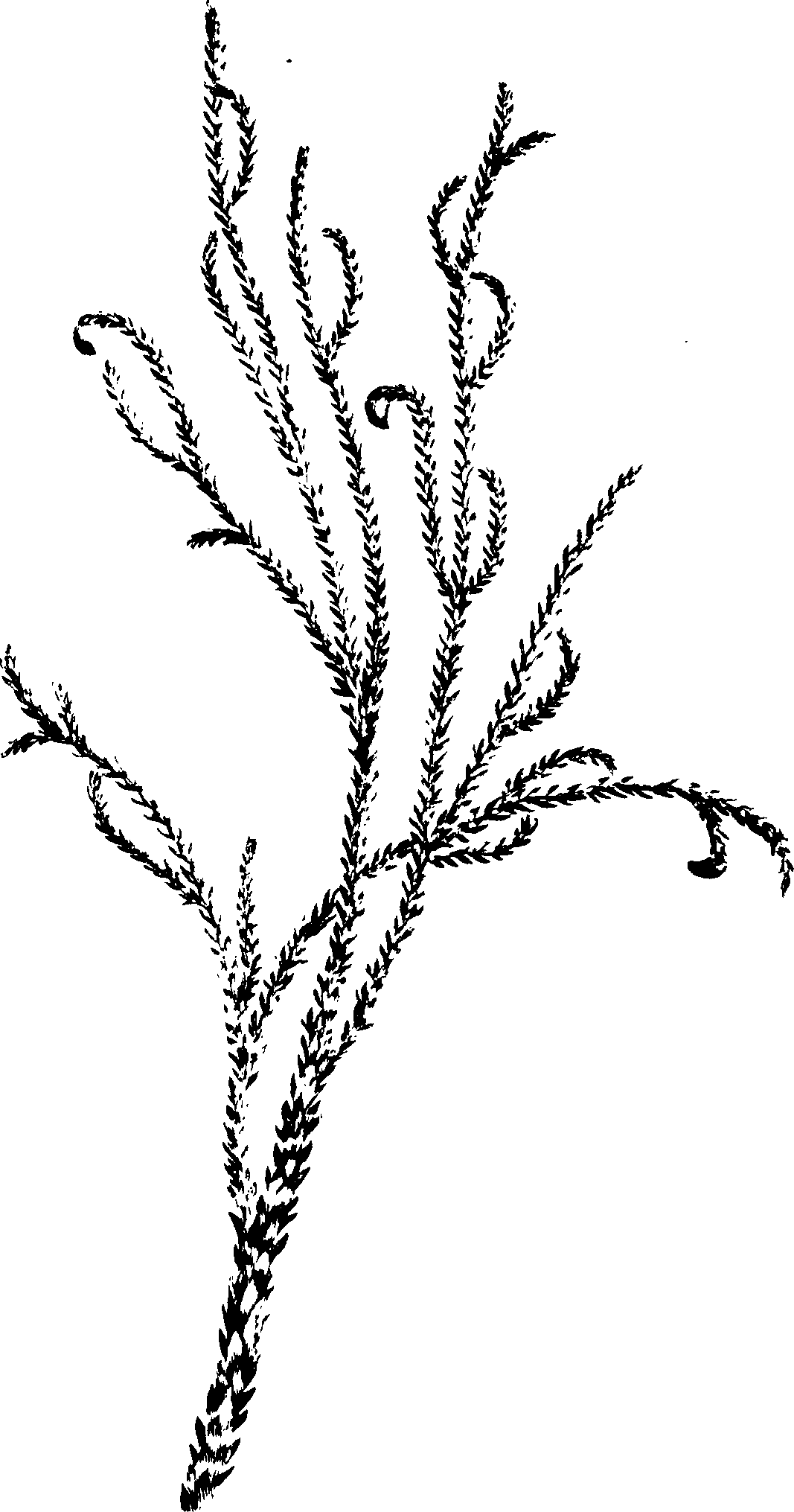 078/078570010101110_0.png