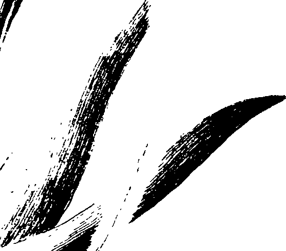 078/078570010101390_0.png