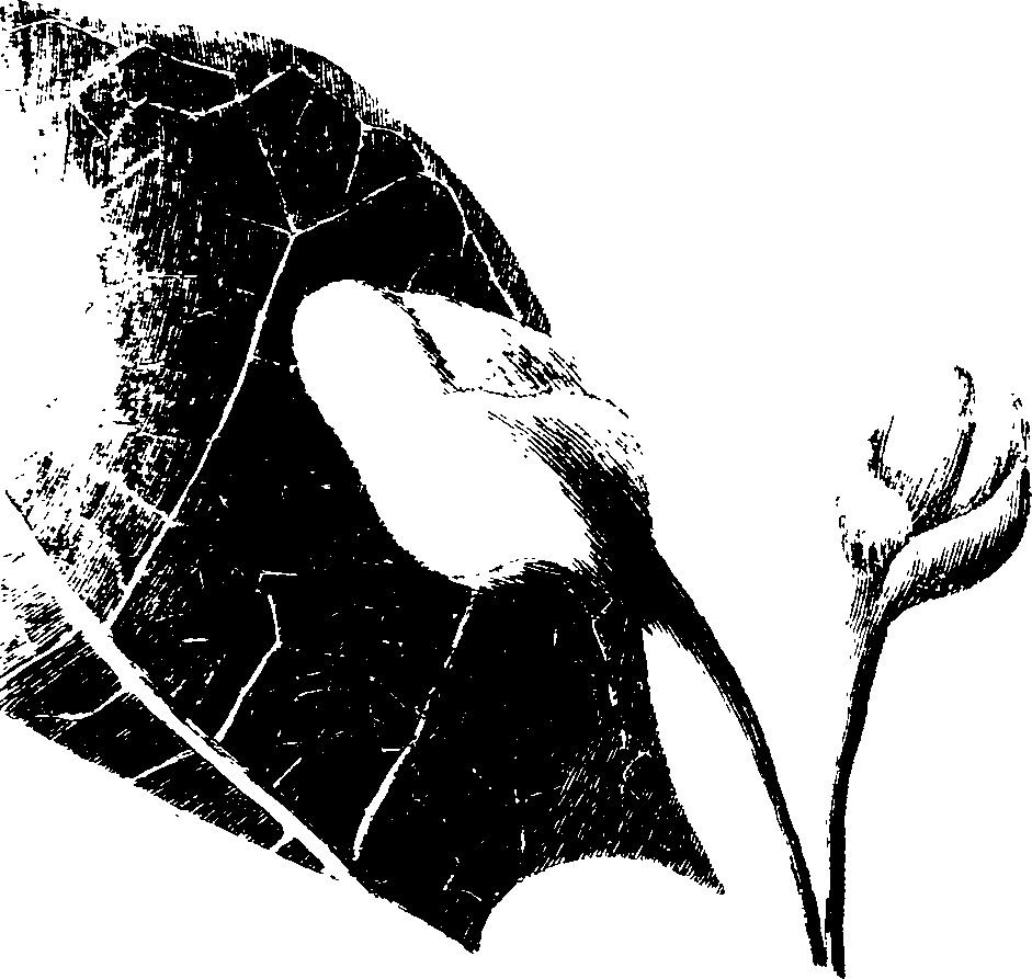 078/078570010102030_0.png