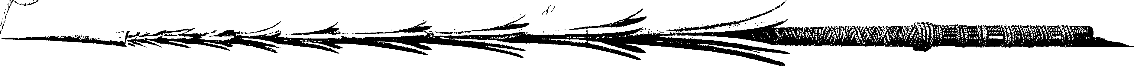 078/078570010102740_1.png