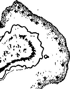 078/078570010200100_1.png