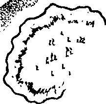 078/078570010200100_3.png
