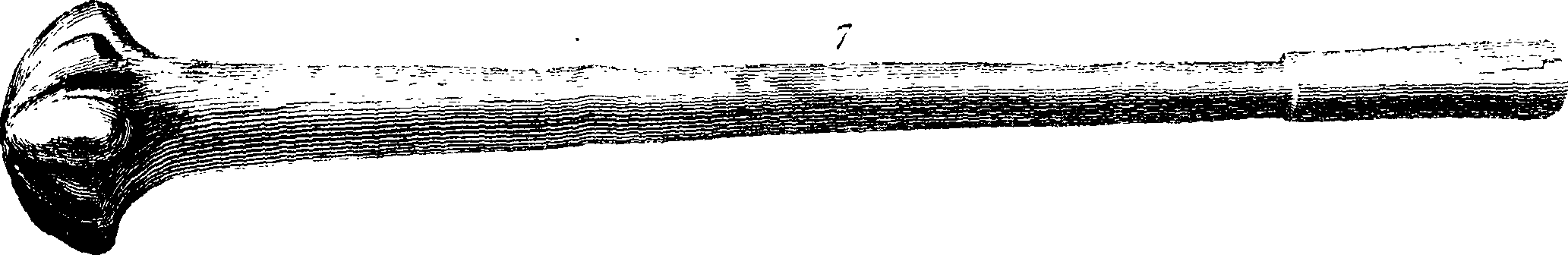 078/078570010201310_0.png