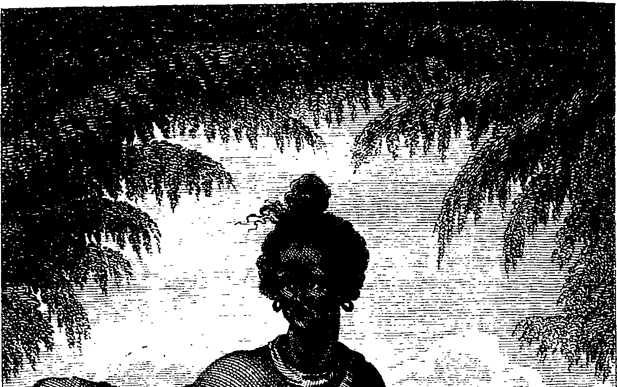 078/078580020103260_0.png