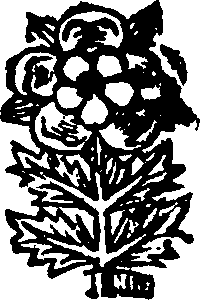 078/078900020000010_0.png
