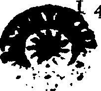 078/078950010002010_0.png