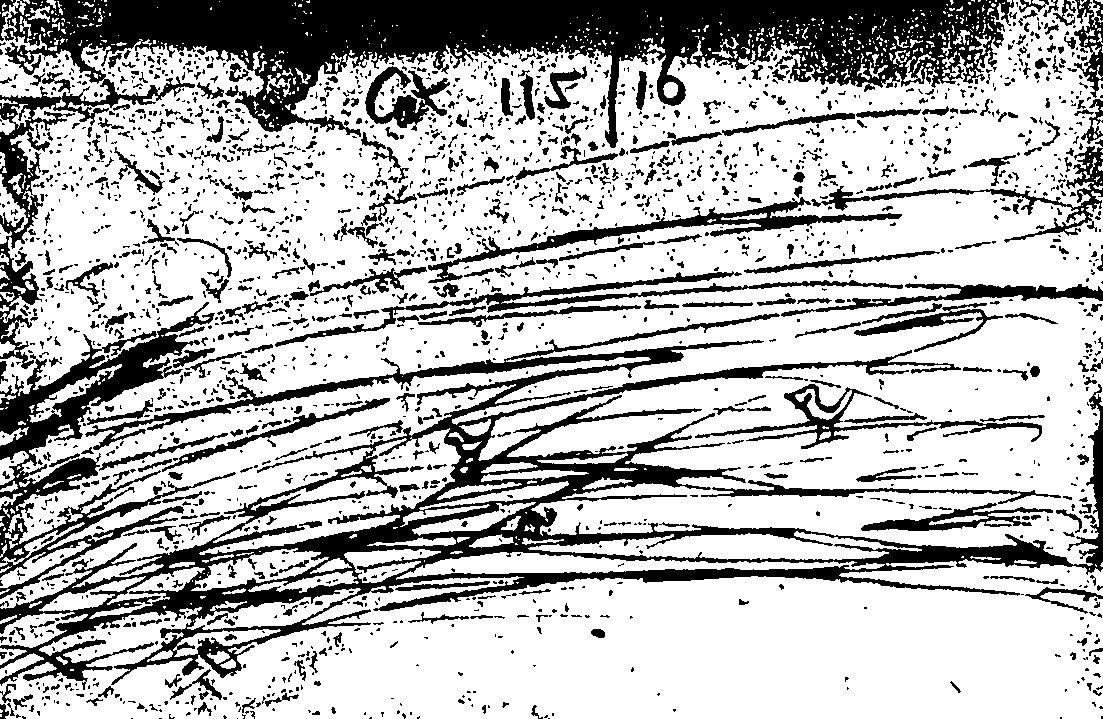 079/079060040000010_1.png