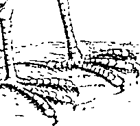 079/079060040000520_0.png