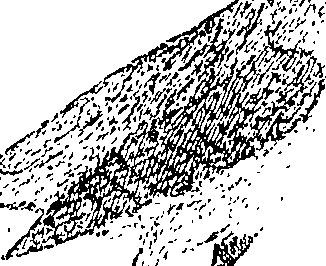 079/079060040000980_0.png