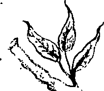 079/079060040002000_0.png