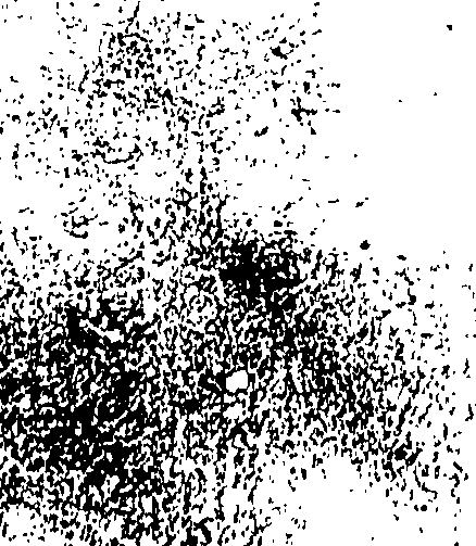 079/079060040002170_0.png