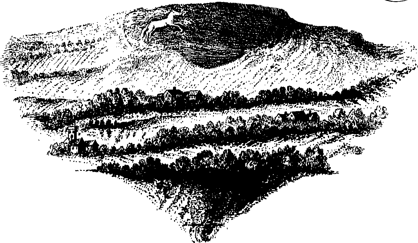 079/079230010000740_0.png