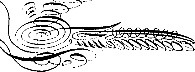 079/079230010001240_0.png