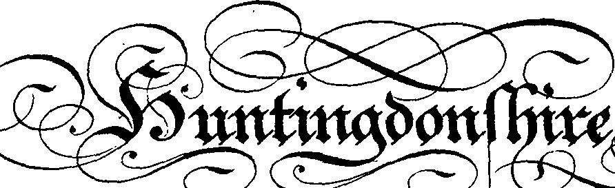 079/079230010001310_3.png