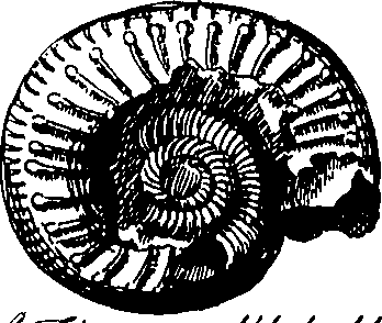 079/079230010001350_1.png