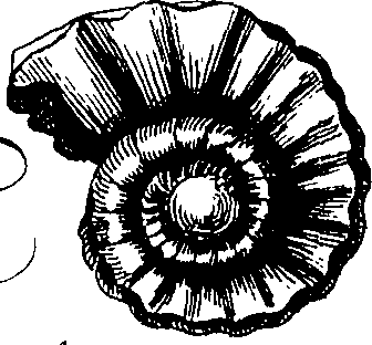079/079230010001350_2.png