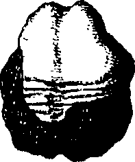 079/079230010001540_1.png