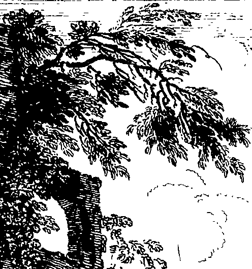 079/079230010001560_0.png