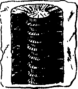 079/079230010001640_0.png