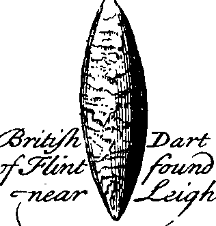 079/079230010001640_5.png