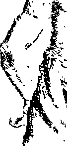 079/079270020000090_0.png