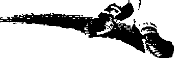 079/079270020006230_0.png