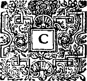 079/079280010101240_0.png
