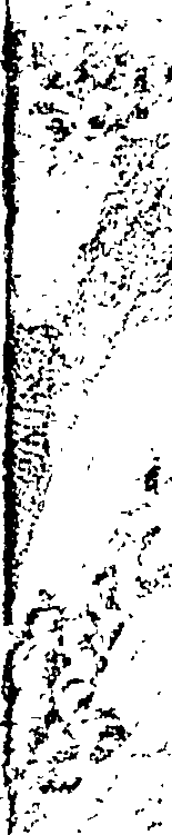 079/079290020101340_0.png