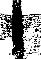 079/079290020103520_0.png