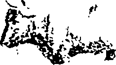079/079290020201160_0.png