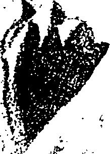 079/079290020202780_0.png