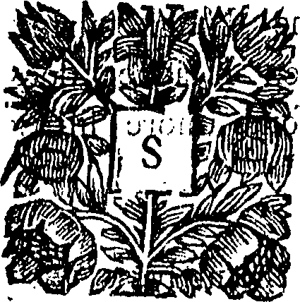 079/079530040000020_0.png