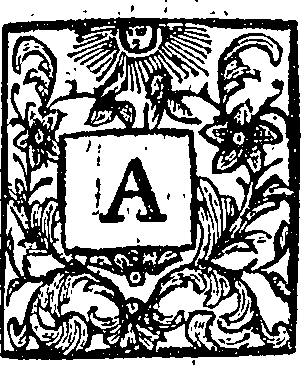 079/079530040000920_3.png