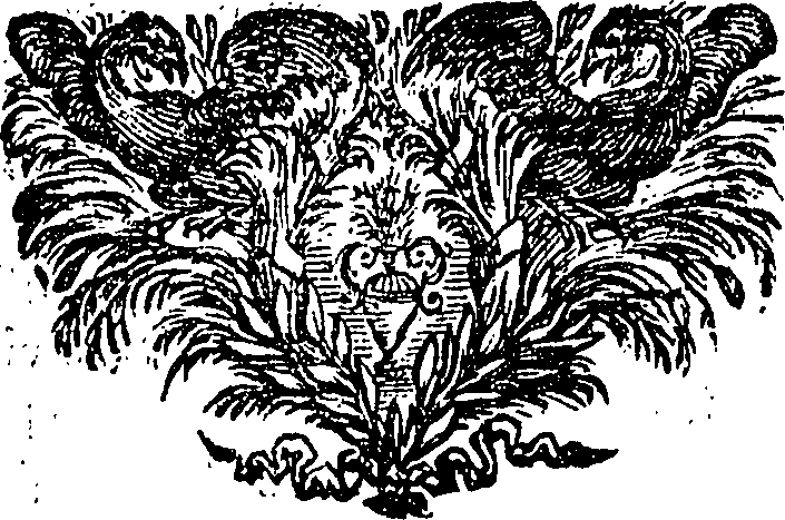 079/079530040003620_0.png