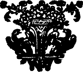 079/079540040202250_0.png