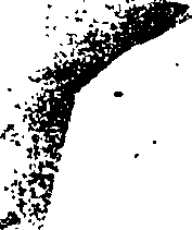 079/079620030100010_0.png