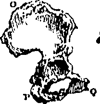 079/079740010100540_0.png