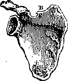 079/079740010100540_1.png