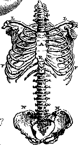079/079740010100540_2.png
