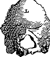 079/079740010100540_3.png