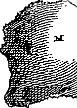 079/079740010100540_4.png